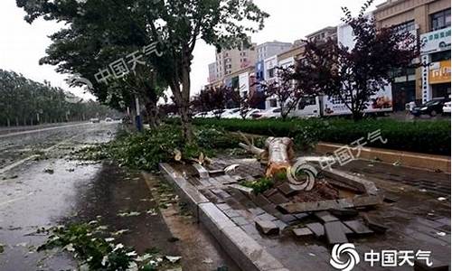 辽宁锦州暴雨最新消息_辽宁锦州爆炸最新消