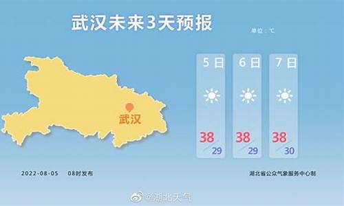 武汉天气预报15天气报气预报明天武汉市天