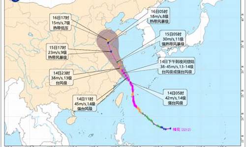 梅花台风视频_梅花台风预报