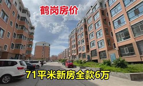 鹤岗房价3万一套首付多少_鹤岗房价3万一