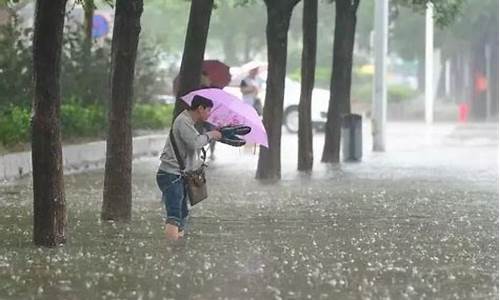 顺德天气明天预报_顺德天气