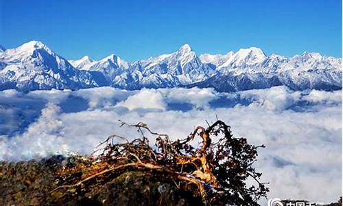 牛背山天气预报15天查询结果_牛背山天气