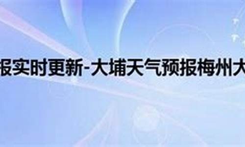 大埔天气预报一周15天查询结果表_大埔天气预报一周