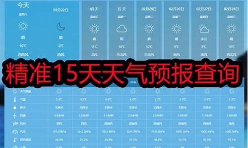 精准天气预报15天查询下载_精准天气预报15天查询