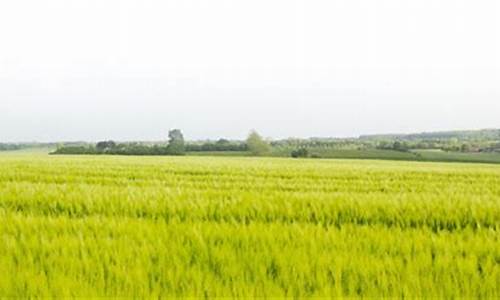 息县 天气预报_息县天气预报息县