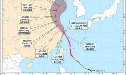 浙江省台风路径实时发布系统_浙江省台风实时报告