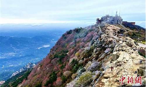 山东泰安泰山天气未来七天天气_山东泰安泰山天气