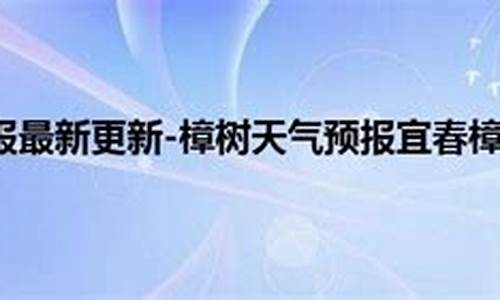 樟树市天气预报15天_樟树市天气预报15天查询结果